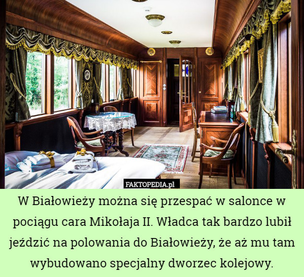 W Białowieży można się przespać w salonce w pociągu cara Mikołaja II. Władca tak bardzo lubił jeździć na polowania do Białowieży, że aż mu tam wybudowano specjalny dworzec kolejowy. 