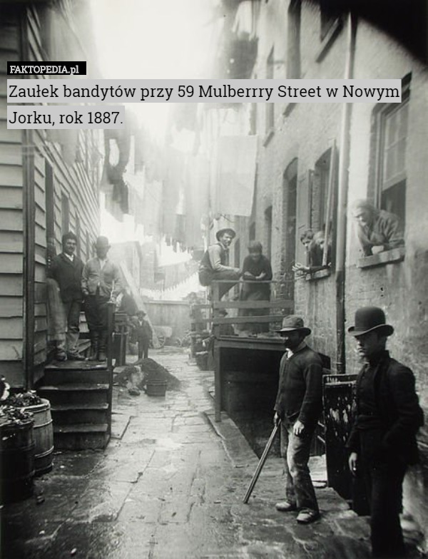 Zaułek bandytów przy 59 Mulberrry Street w Nowym Jorku, rok 1887. 