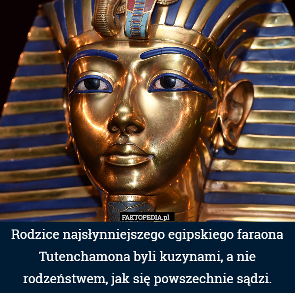 Rodzice najsłynniejszego egipskiego faraona Tutenchamona byli kuzynami, a nie rodzeństwem, jak się powszechnie sądzi. 