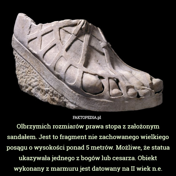Olbrzymich rozmiarów prawa stopa z założonym sandałem. Jest to fragment nie zachowanego wielkiego posągu o wysokości ponad 5 metrów. Możliwe, że statua ukazywała jednego z bogów lub cesarza. Obiekt wykonany z marmuru jest datowany na II wiek n.e. 