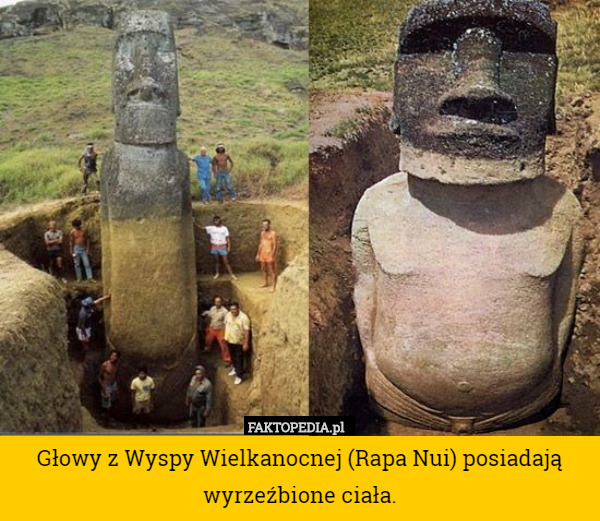 Głowy z Wyspy Wielkanocnej (Rapa Nui) posiadają wyrzeźbione ciała. 