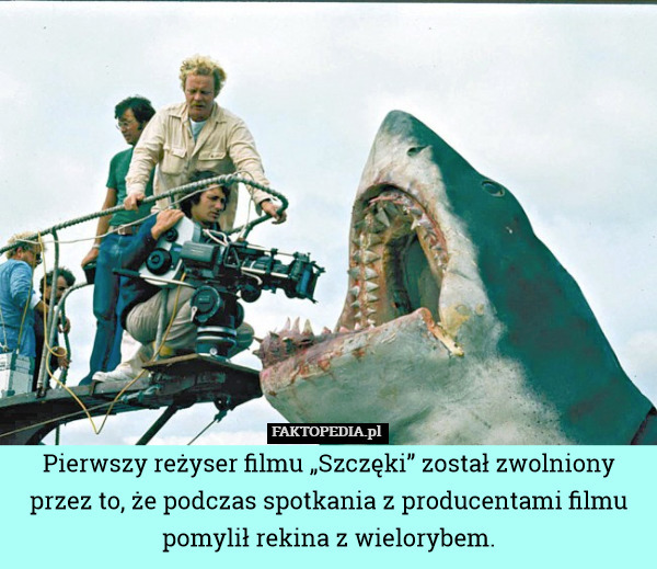 Pierwszy reżyser filmu „Szczęki” został zwolniony przez to, że podczas spotkania z producentami filmu pomylił rekina z wielorybem. 