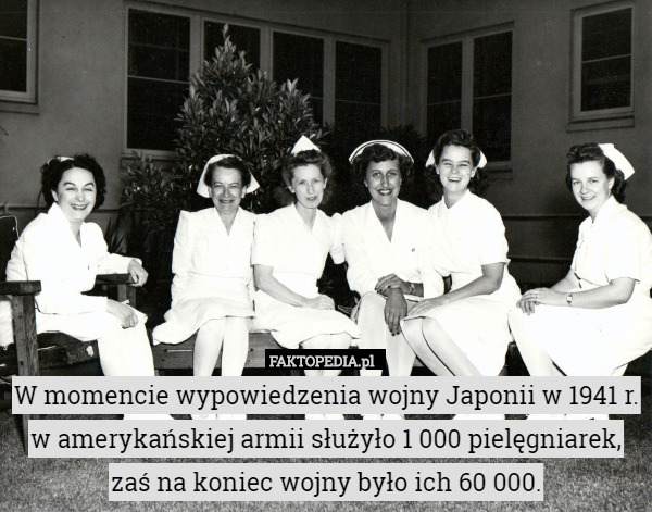W momencie wypowiedzenia wojny Japonii w 1941 r. w amerykańskiej armii służyło 1 000 pielęgniarek, zaś na koniec wojny było ich 60 000. 