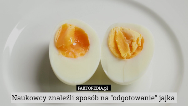 Naukowcy znaleźli sposób na "odgotowanie" jajka. 