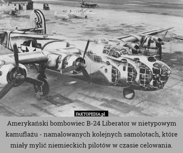 Amerykański bombowiec B-24 Liberator w nietypowym kamuflażu - namalowanych kolejnych samolotach, które miały mylić niemieckich pilotów w czasie celowania. 