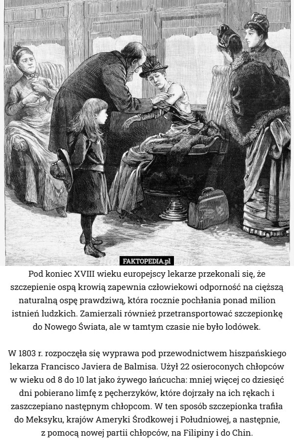 Pod koniec XVIII wieku europejscy lekarze przekonali się, że szczepienie ospą krowią zapewnia człowiekowi odporność na cięższą naturalną ospę prawdziwą, która rocznie pochłania ponad milion istnień ludzkich. Zamierzali również przetransportować szczepionkę do Nowego Świata, ale w tamtym czasie nie było lodówek.

 W 1803 r. rozpoczęła się wyprawa pod przewodnictwem hiszpańskiego lekarza Francisco Javiera de Balmisa. Użył 22 osieroconych chłopców w wieku od 8 do 10 lat jako żywego łańcucha: mniej więcej co dziesięć dni pobierano limfę z pęcherzyków, które dojrzały na ich rękach i zaszczepiano następnym chłopcom. W ten sposób szczepionka trafiła do Meksyku, krajów Ameryki Środkowej i Południowej, a następnie,
 z pomocą nowej partii chłopców, na Filipiny i do Chin. 