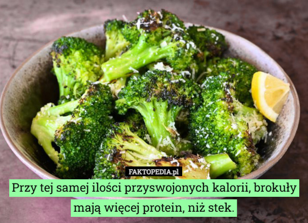 Przy tej samej ilości przyswojonych kalorii, brokuły mają więcej protein, niż stek. 