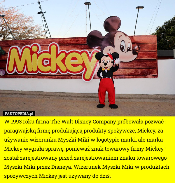W 1993 roku firma The Walt Disney Company próbowała pozwać paragwajską firmę produkującą produkty spożywcze, Mickey, za używanie wizerunku Myszki Miki w logotypie marki, ale marka Mickey wygrała sprawę, ponieważ znak towarowy firmy Mickey został zarejestrowany przed zarejestrowaniem znaku towarowego Myszki Miki przez Disneya. Wizerunek Myszki Miki w produktach spożywczych Mickey jest używany do dziś. 