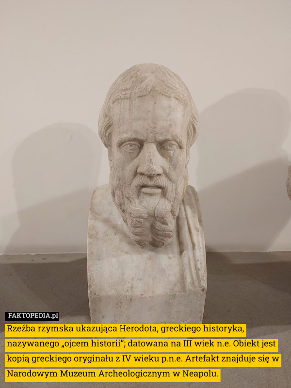 Rzeźba rzymska ukazująca Herodota, greckiego historyka, nazywanego „ojcem historii”; datowana na III wiek n.e. Obiekt jest kopią greckiego oryginału z IV wieku p.n.e. Artefakt znajduje się w Narodowym Muzeum Archeologicznym w Neapolu. 