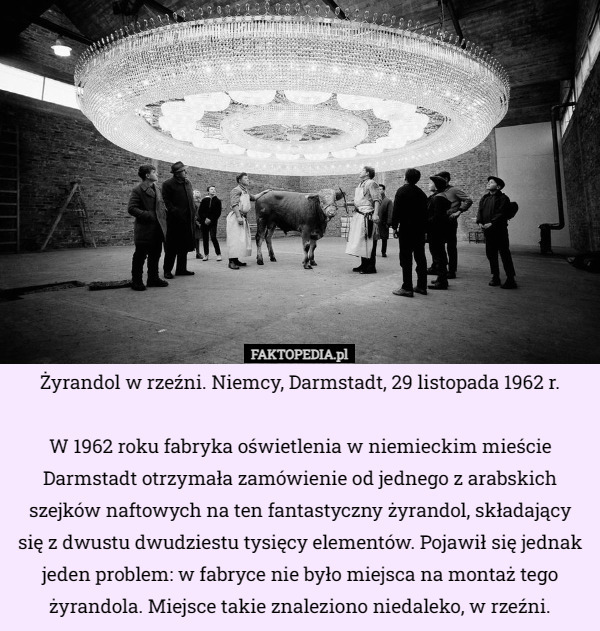 Żyrandol w rzeźni. Niemcy, Darmstadt, 29 listopada 1962 r.

W 1962 roku fabryka oświetlenia w niemieckim mieście Darmstadt otrzymała zamówienie od jednego z arabskich szejków naftowych na ten fantastyczny żyrandol, składający się z dwustu dwudziestu tysięcy elementów. Pojawił się jednak jeden problem: w fabryce nie było miejsca na montaż tego żyrandola. Miejsce takie znaleziono niedaleko, w rzeźni. 