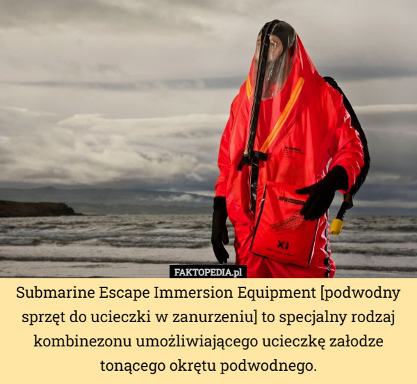 Submarine Escape Immersion Equipment [podwodny sprzęt do ucieczki w zanurzeniu] to specjalny rodzaj kombinezonu umożliwiającego ucieczkę załodze tonącego okrętu podwodnego. 