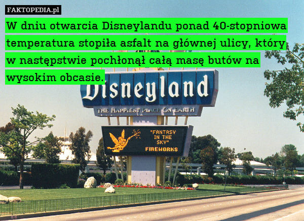 W dniu otwarcia Disneylandu ponad