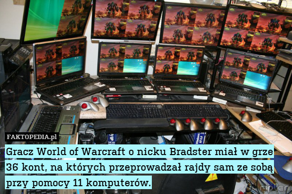 Gracz World of Warcraft o nicku