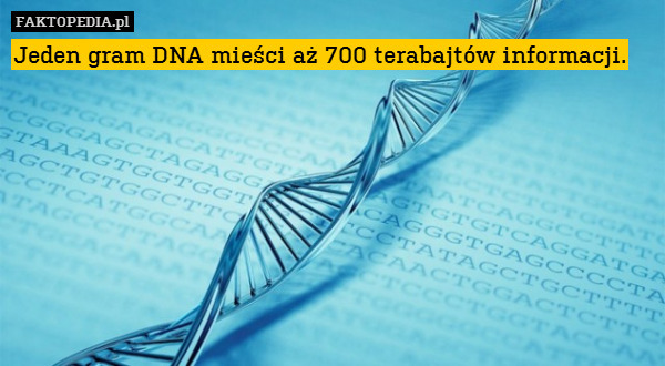 Jeden gram DNA mieści aż 700 terabajtów