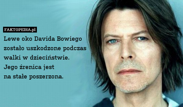 Lewe oko Davida Bowiego
zostało