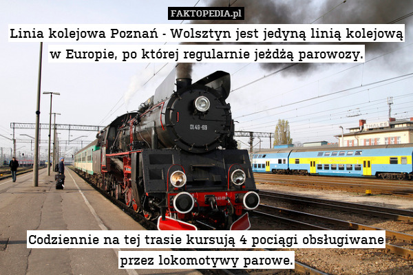 Linia kolejowa Poznań - Wolsztyn
