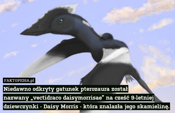Niedawno odkryty gatunek pterozaura