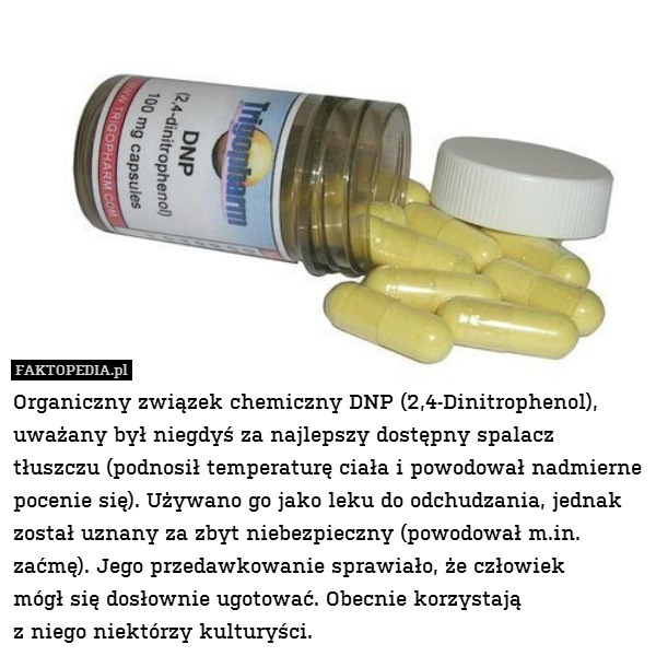 Organiczny związek chemiczny DNP