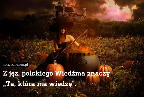 Z jęz. polskiego Wiedźma znaczy