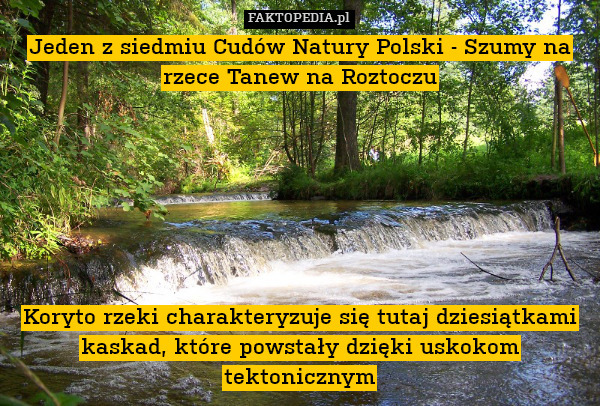 Jeden z siedmiu Cudów Natury Polski
