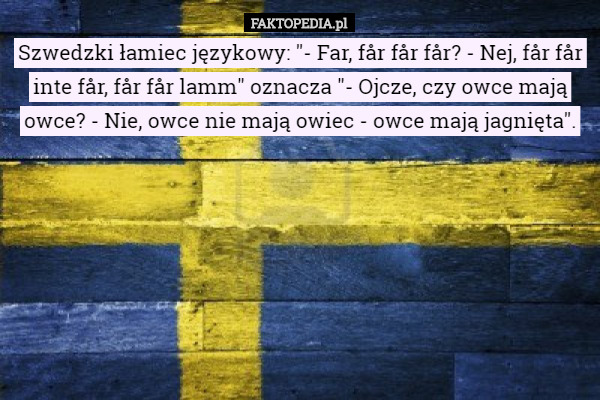 Szwedzki łamiec językowy: "- Far, får får får? - Nej, får...