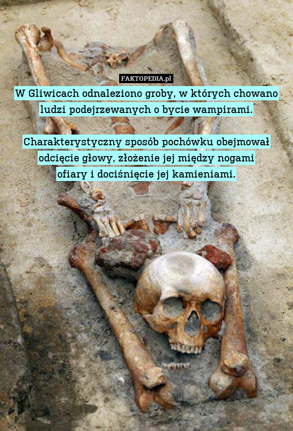 W Gliwicach odnaleziono groby,