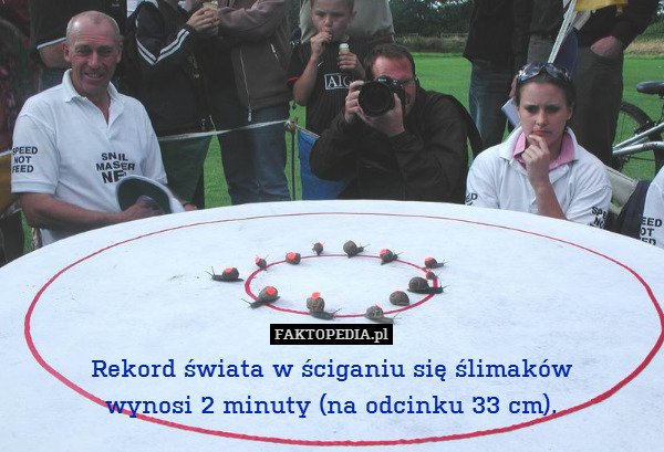 Rekord świata w ściganiu się ślimaków
