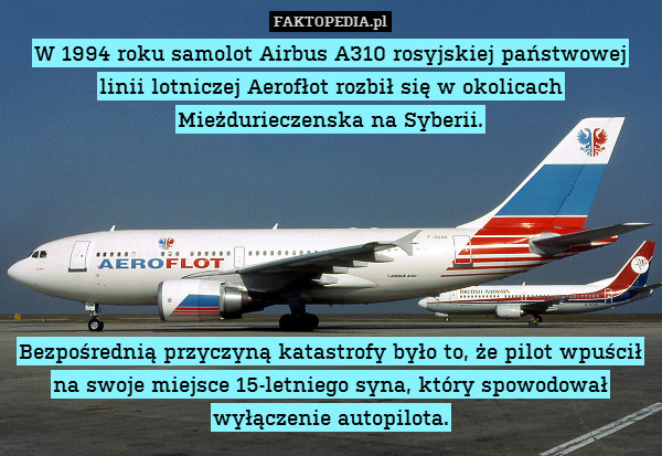 W 1994 roku samolot Airbus A310