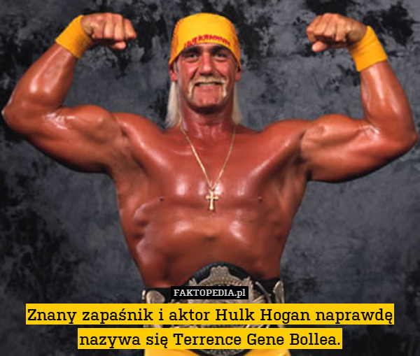 Znany zapaśnik i aktor Hulk Hogan