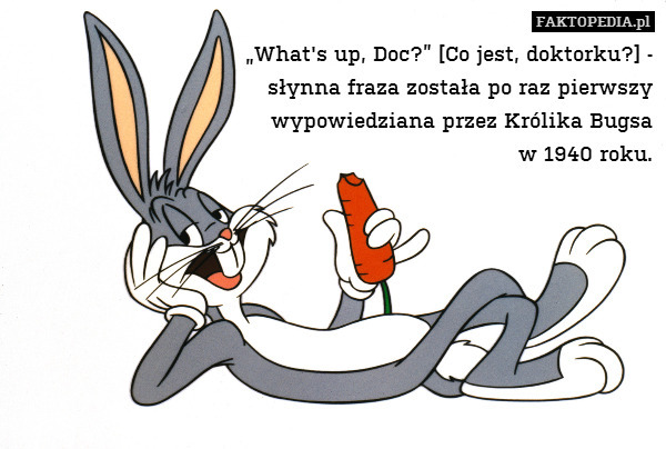 „What's up, Doc?” [Co jest,