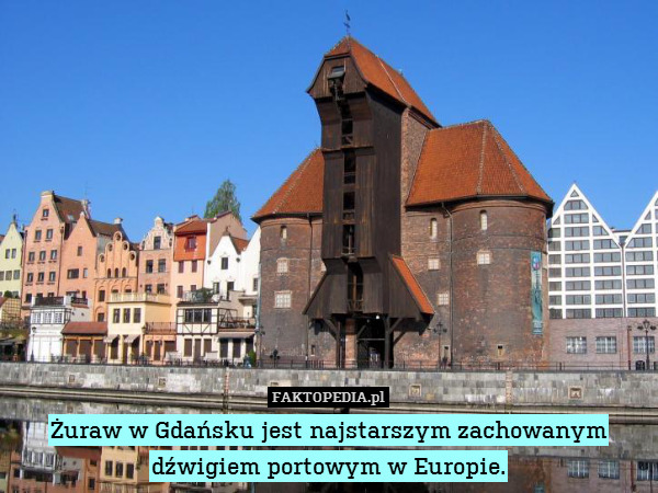 Żuraw w Gdańsku jest najstarszym