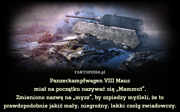 Panzerkampfwagen VIII Maus
miał