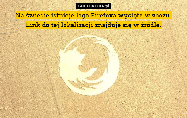 Na świecie istnieje logo Firefoxa
