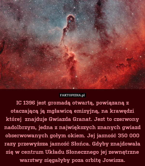 IC 1396 jest gromadą otwartą,