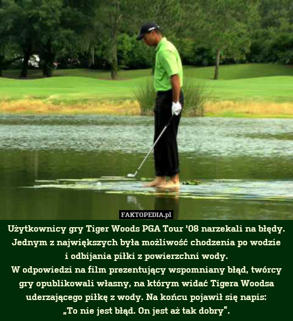 Użytkownicy gry Tiger Woods PGA