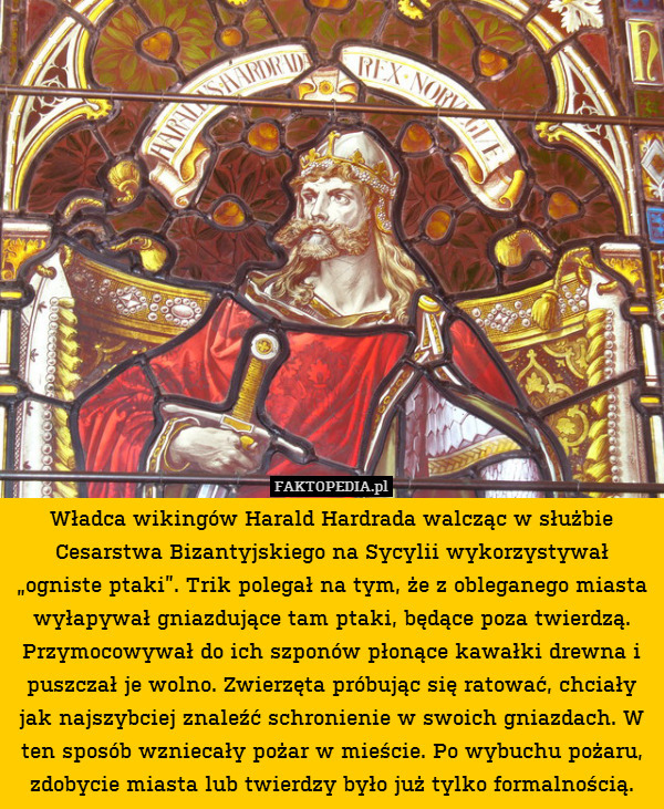 Władca wikingów Harald Hardrada
