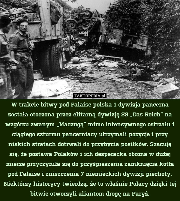W trakcie bitwy pod Falaise polska