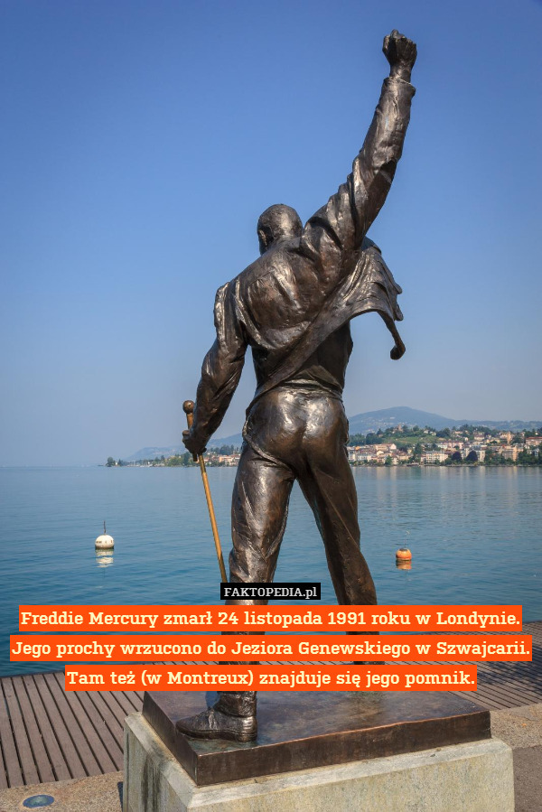 Freddie Mercury zmarł 24 listopada
