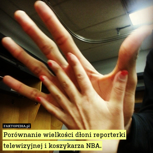 Porównanie wielkości dłoni reporterki