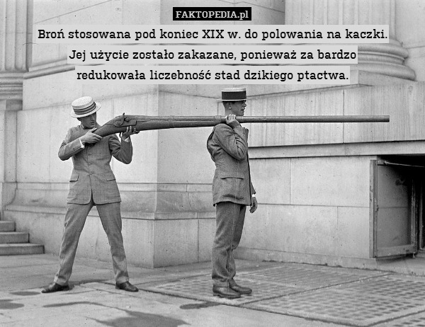 Broń stosowana pod koniec XIX