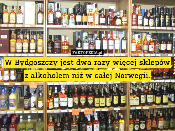 W Bydgoszczy jest dwa razy więcej