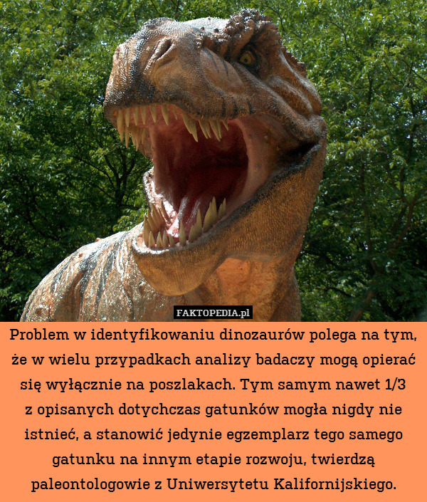 Problem w identyfikowaniu dinozaurów