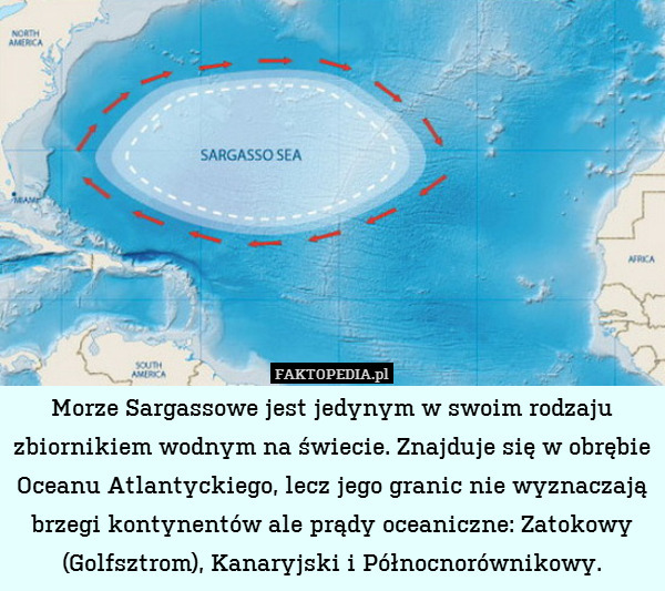 Morze Sargassowe jest jedynym