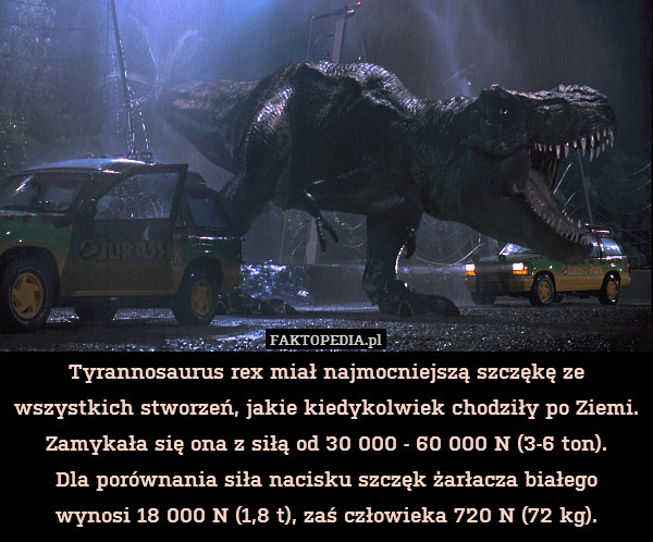 Tyrannosaurus rex miał najmocniejszą
