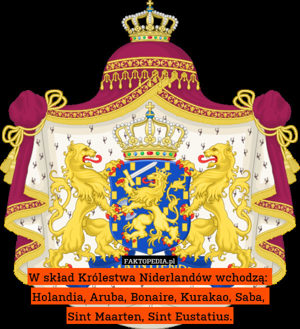 W skład Królestwa Niderlandów