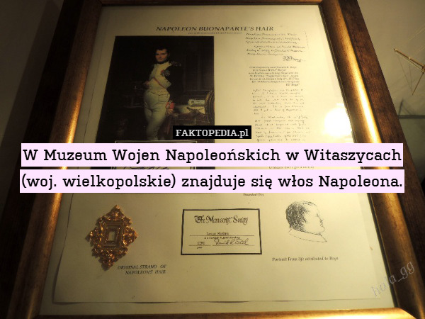 W Muzeum Wojen Napoleońskich w