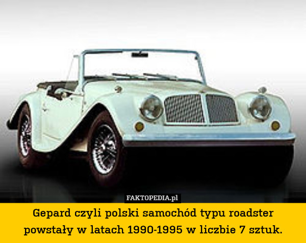 Gepard czyli polski samochód typu