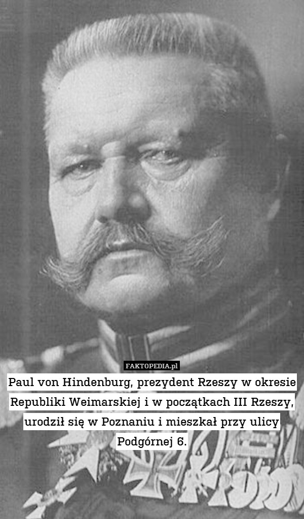 Paul von Hindenburg, prezydent