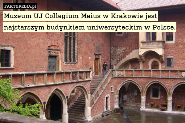 Muzeum UJ Collegium Maius w Krakowie