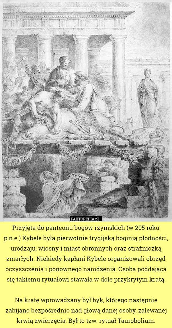 Przyjęta do panteonu bogów rzymskich (w 205 roku p.n.e.) Kybele była...